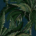 Daintree Palm Midnight Wallpaper