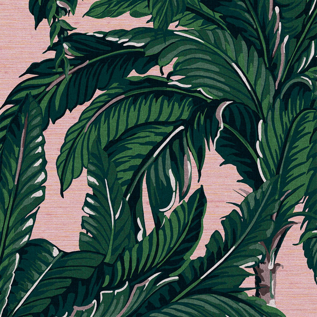 Daintree Palm Blush Wallpaper
