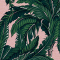 Daintree Palm Blush Wallpaper