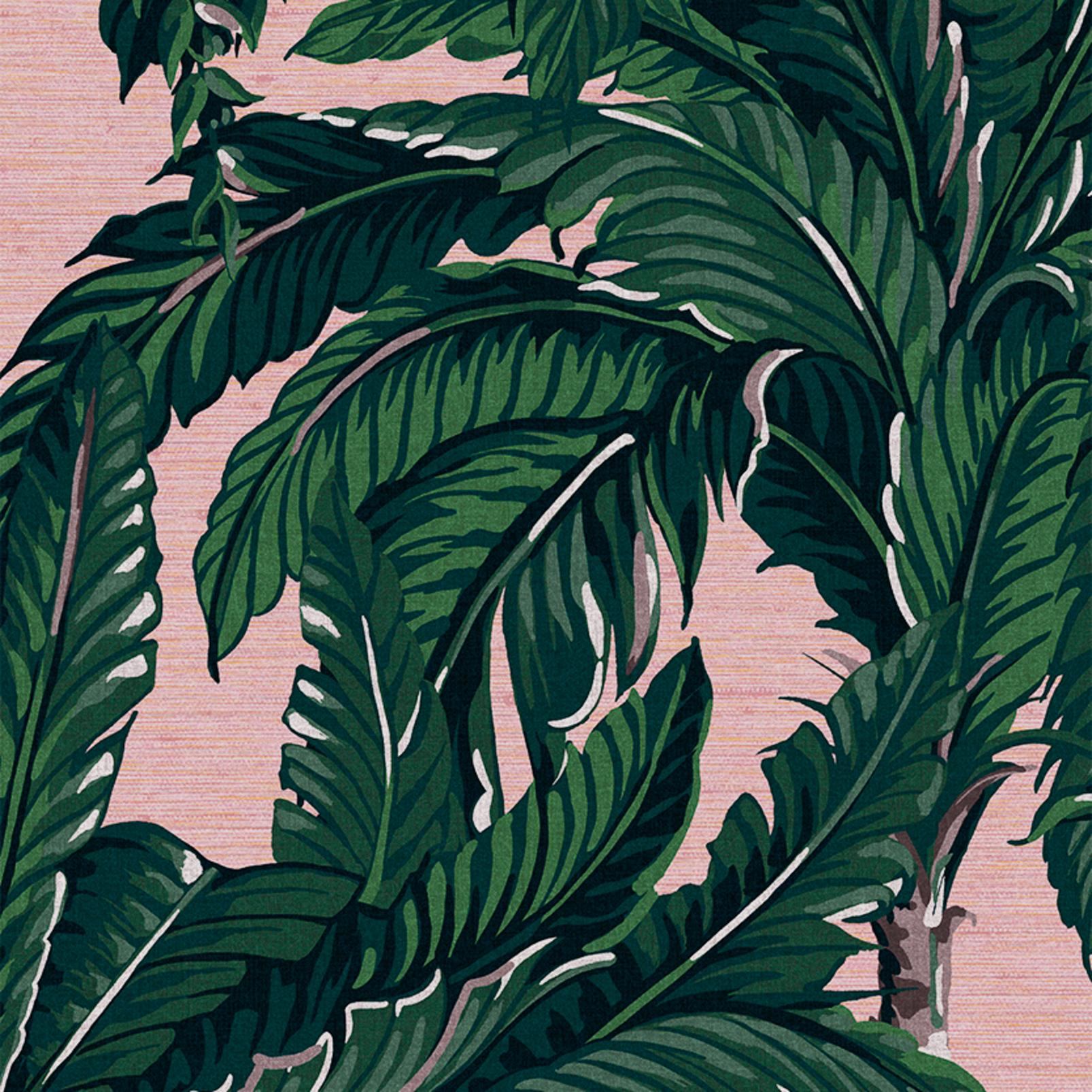 Daintree Palm Blush Wallpaper