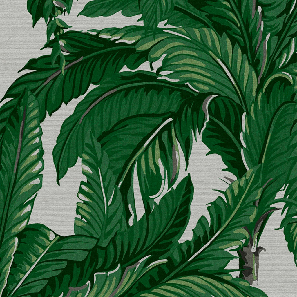 Daintree Palm Pearl Wallpaper