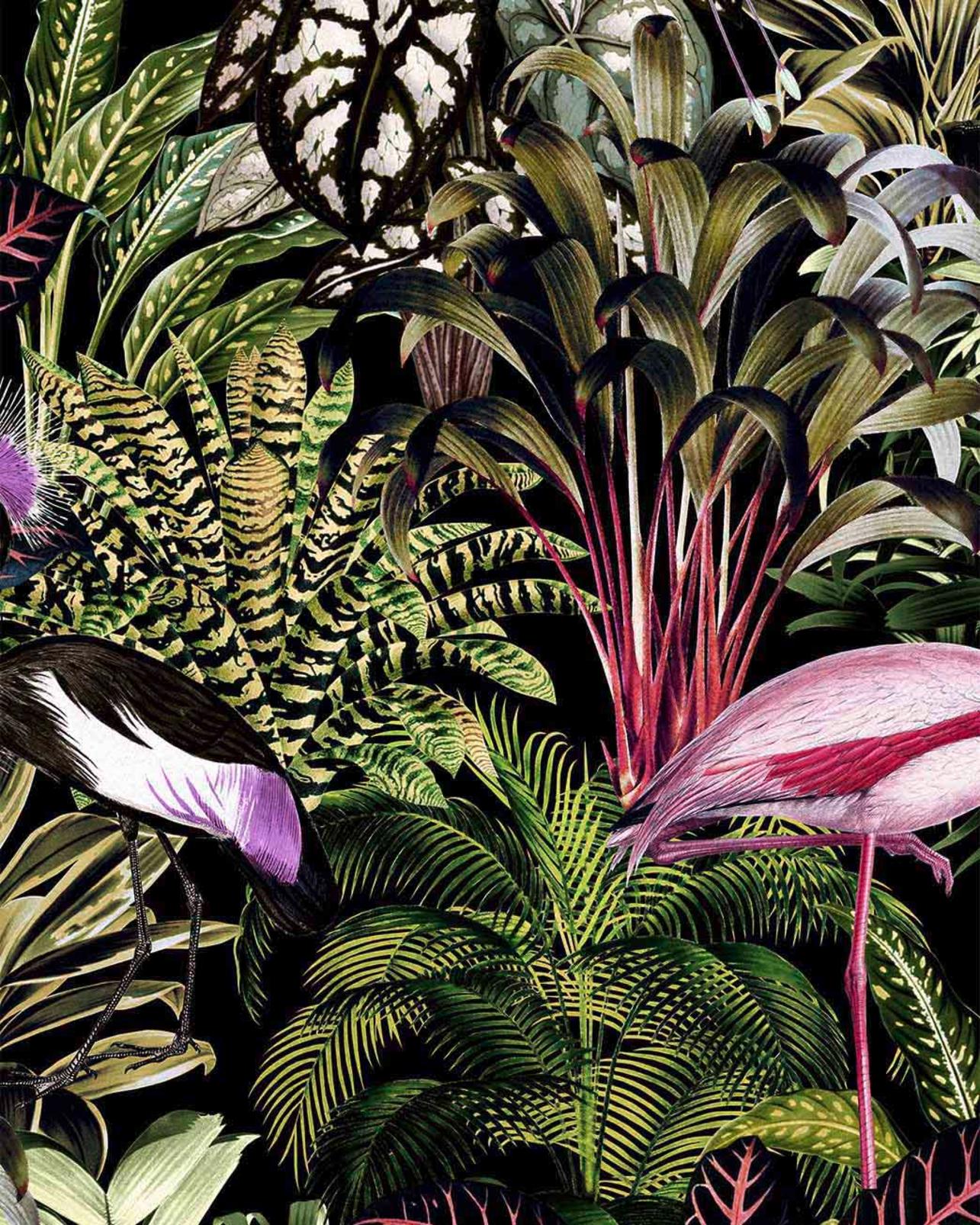 Midnight Tropic Wallpaper