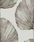 Palm Fan Stone Wallpaper