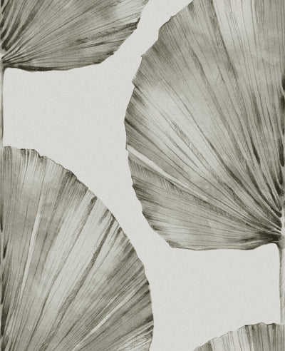 Palm Fan Stone Wallpaper
