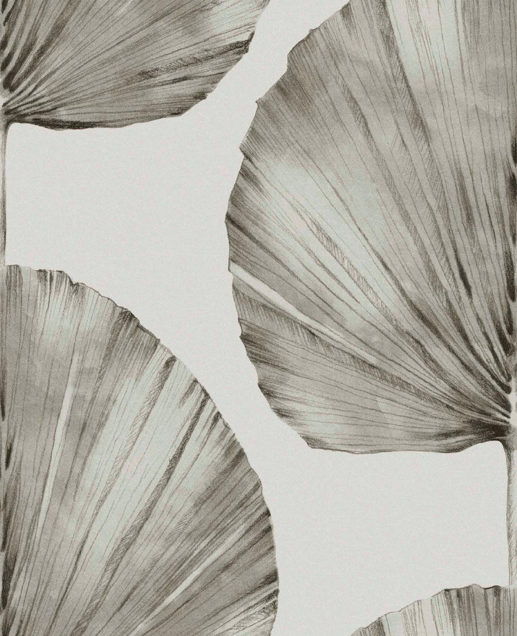 Palm Fan Stone Wallpaper