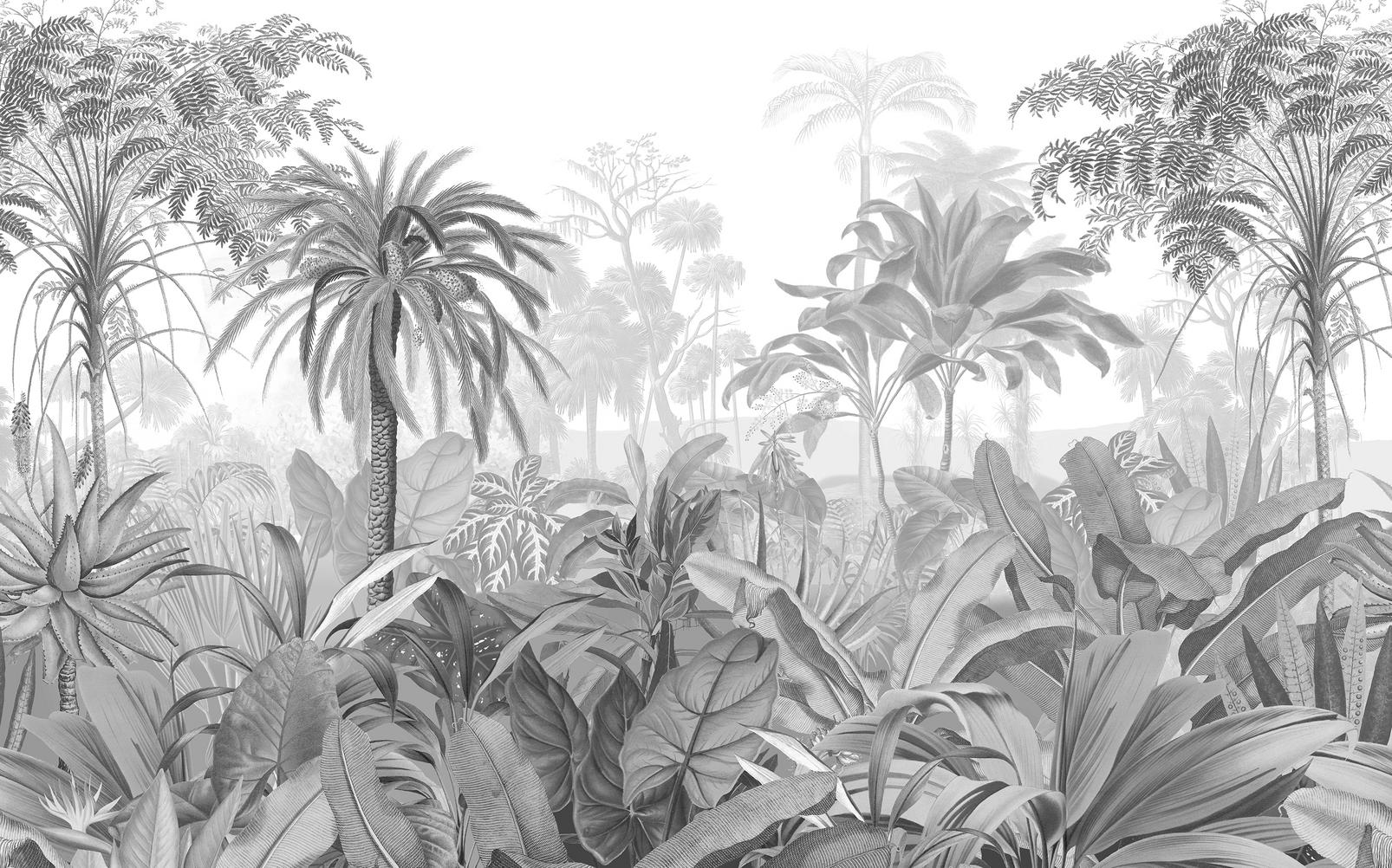 Paradise Jungle Sketch Bespoke Mural