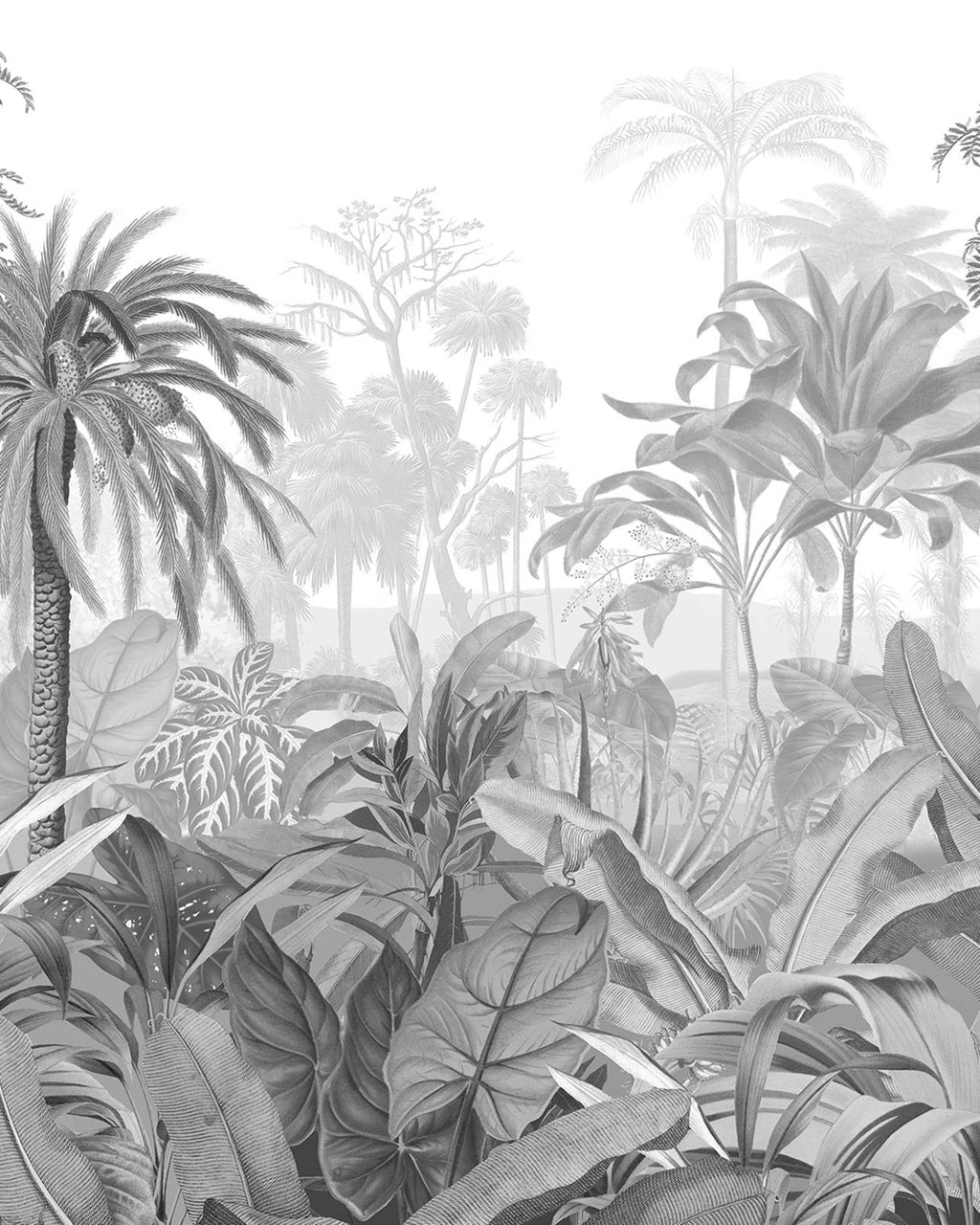 Paradise Jungle Sketch Bespoke Mural