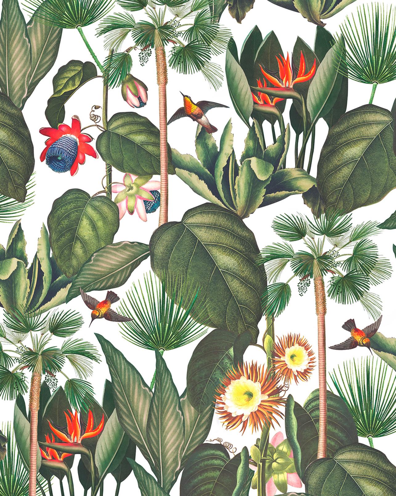 Botanique Jungle Day Bespoke Mural