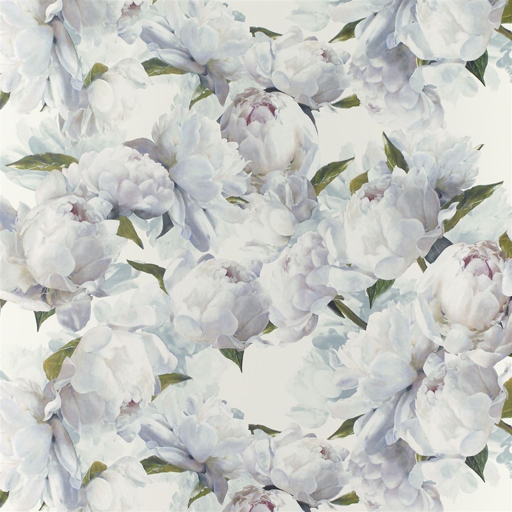 Peonia Ivory (Foscari Fresco)