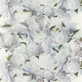 Peonia Ivory (Foscari Fresco)