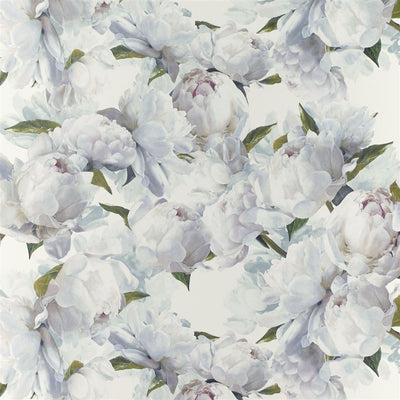 Peonia Ivory (Foscari Fresco)