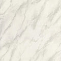 Carrara Grande Ivory (Foscari Fresco)