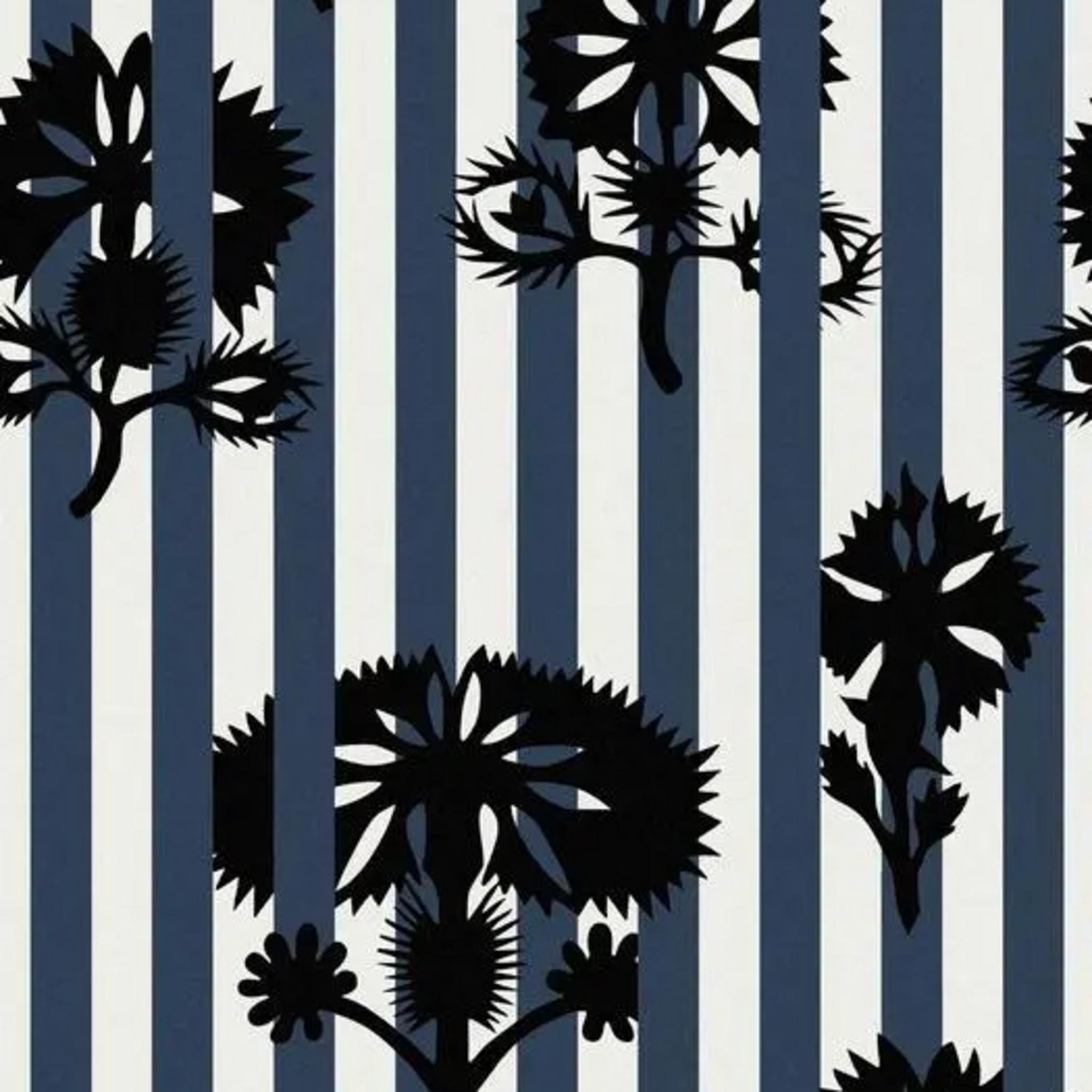 Hide And Seek Aqueous Wallpaper