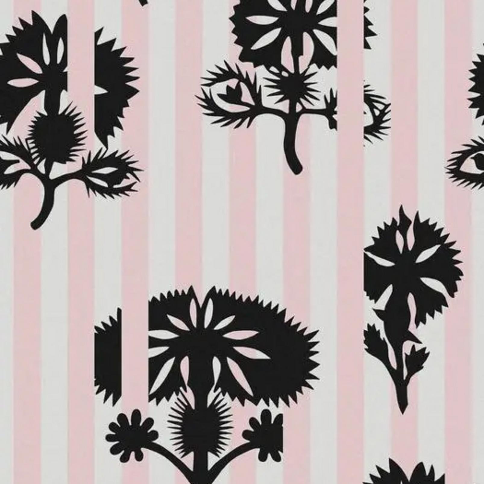 Hide And Seek Rose Wallpaper