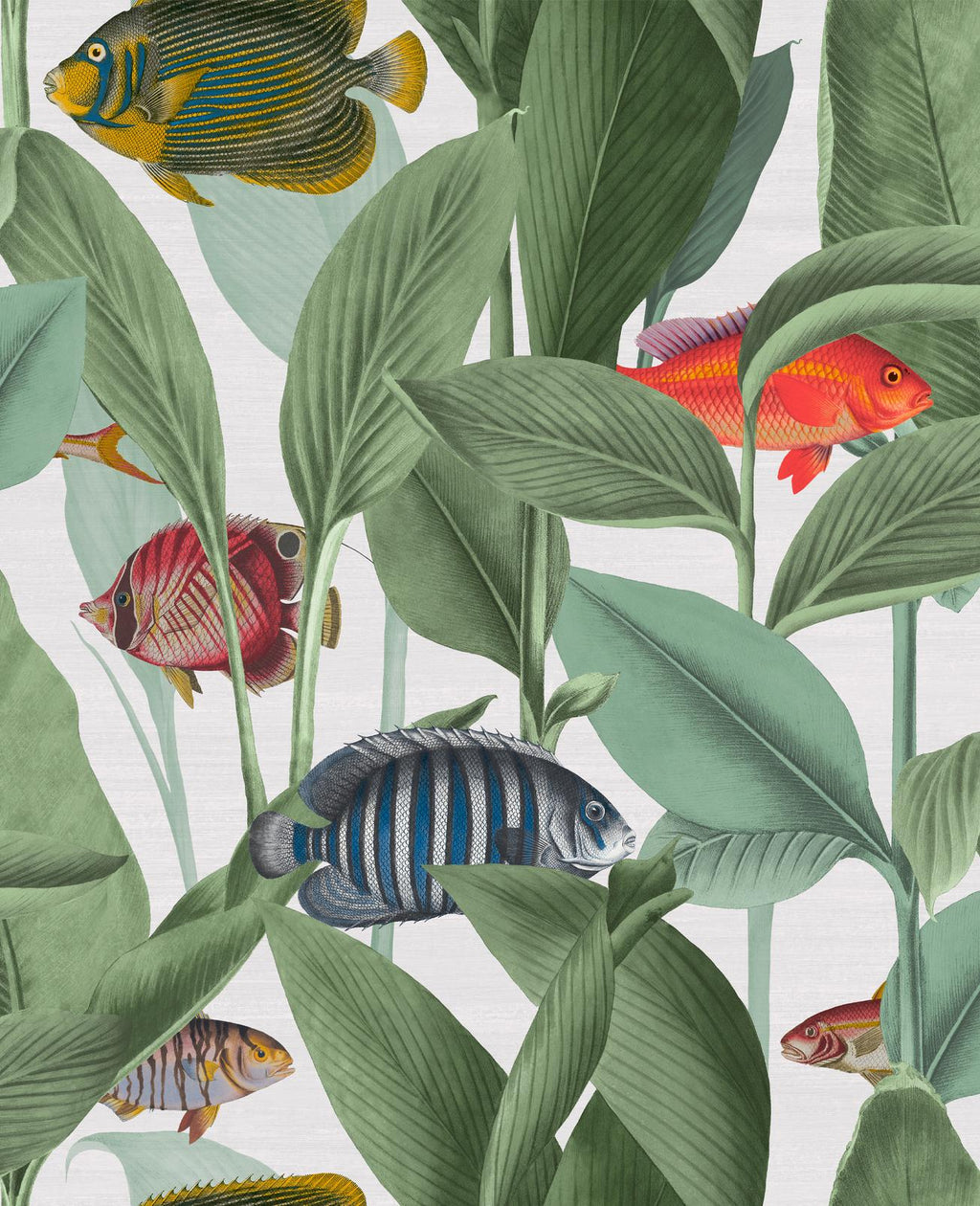 Aquarium Lush Wallpaper