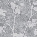 Brutal Beauty Shadow Wallpaper
