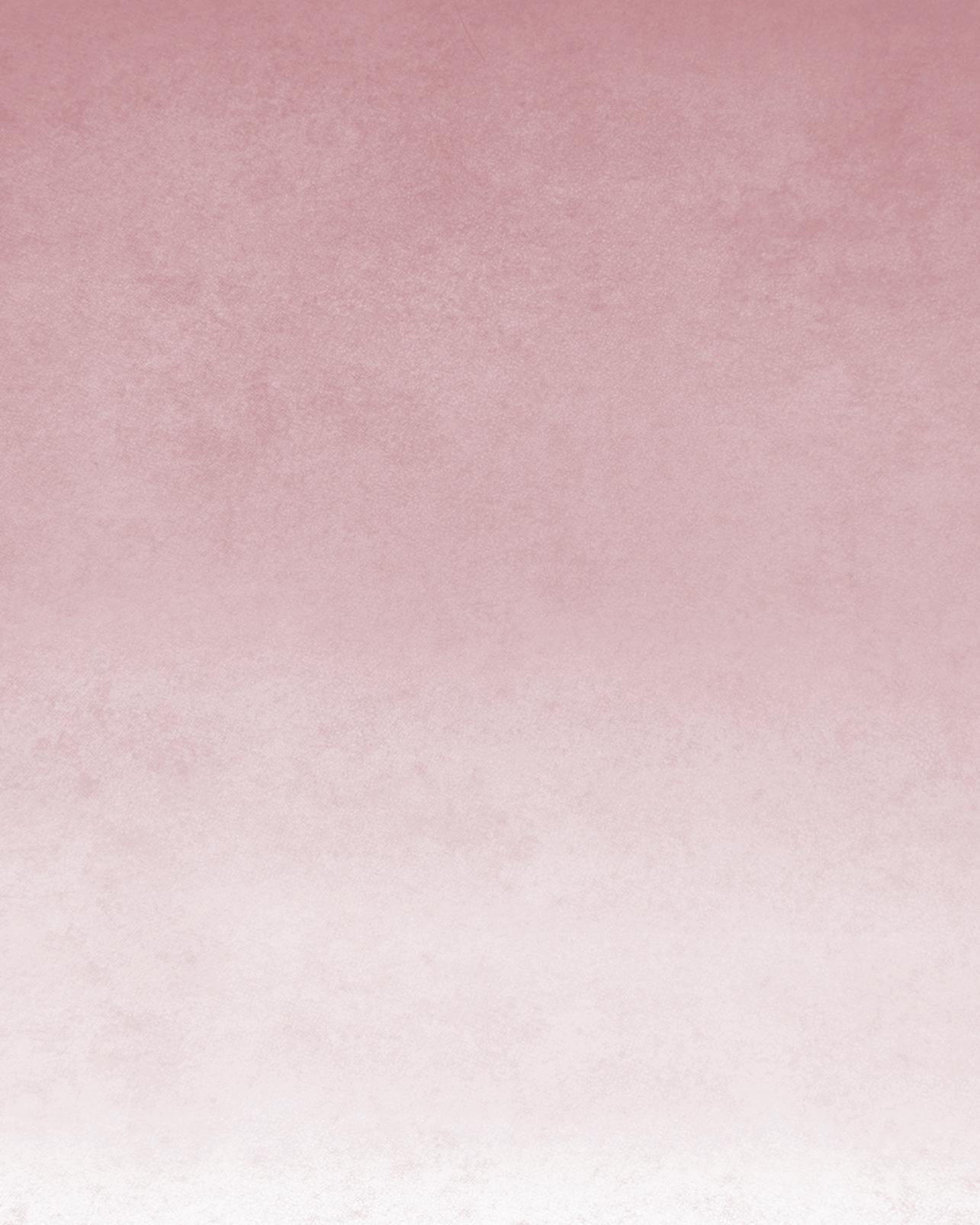 Ink Blush Ombre Bespoke Mural