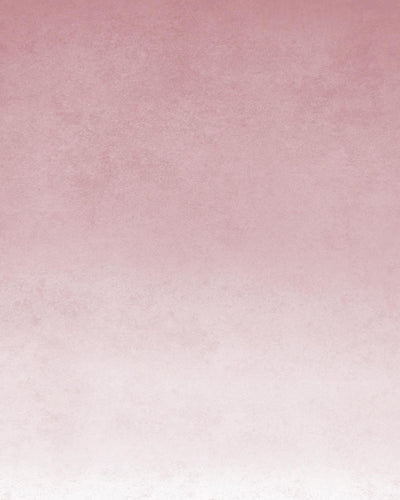 Ink Blush Ombre Bespoke Mural