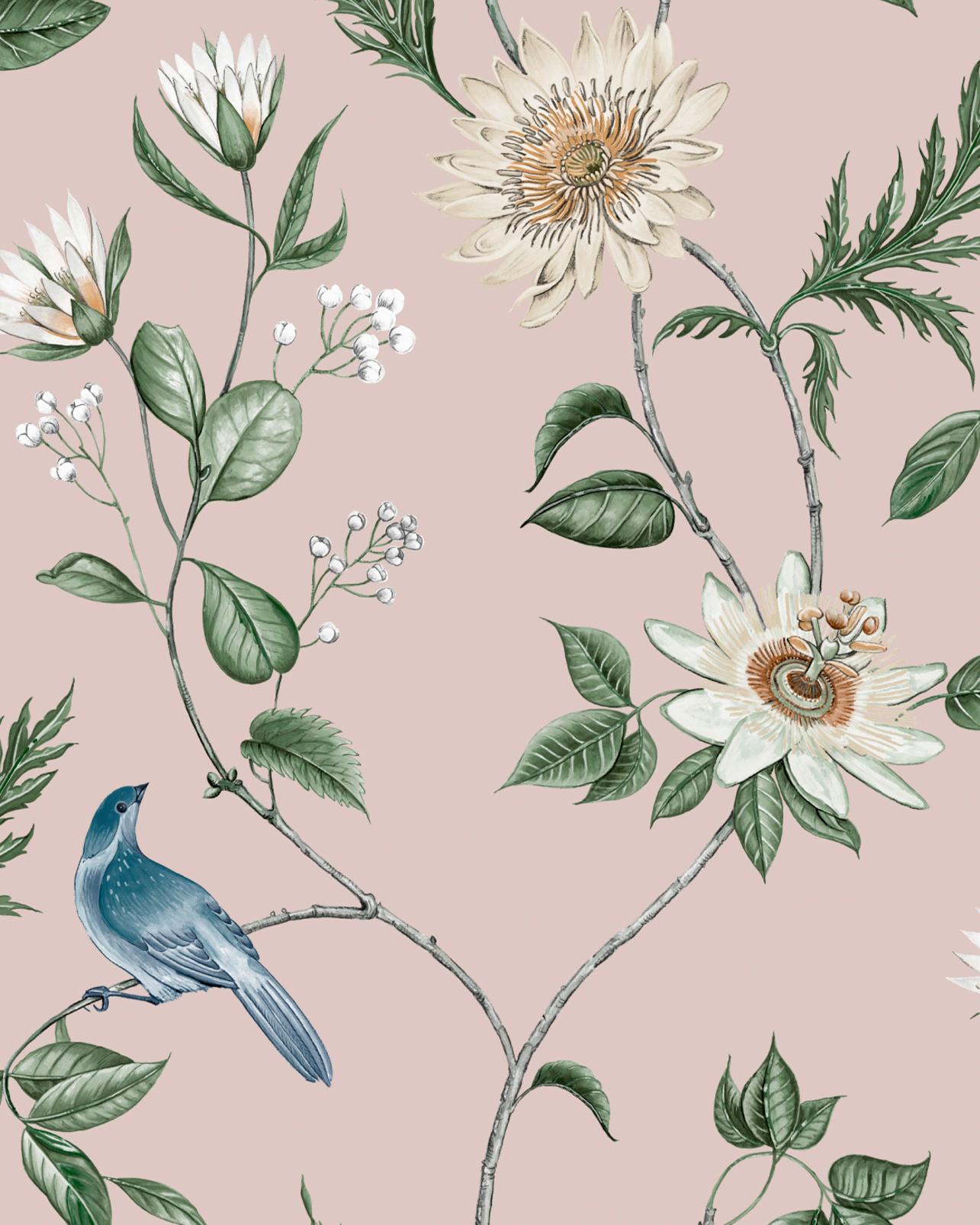 Nuit Blush Wallpaper