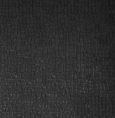 Serpentine Black Wallpaper