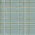 Deerpath Trail Plaid Mist (Coastal Papers)