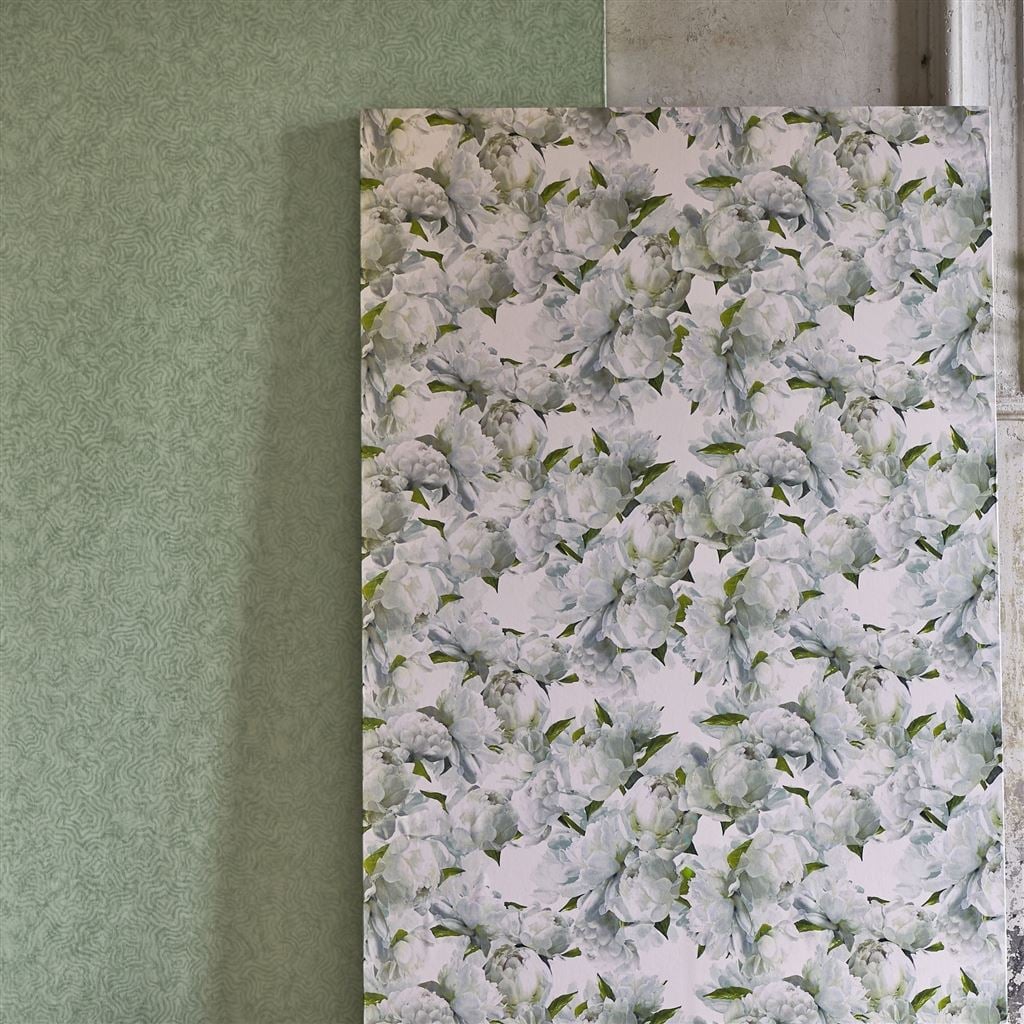 Peonia Ivory (Foscari Fresco)