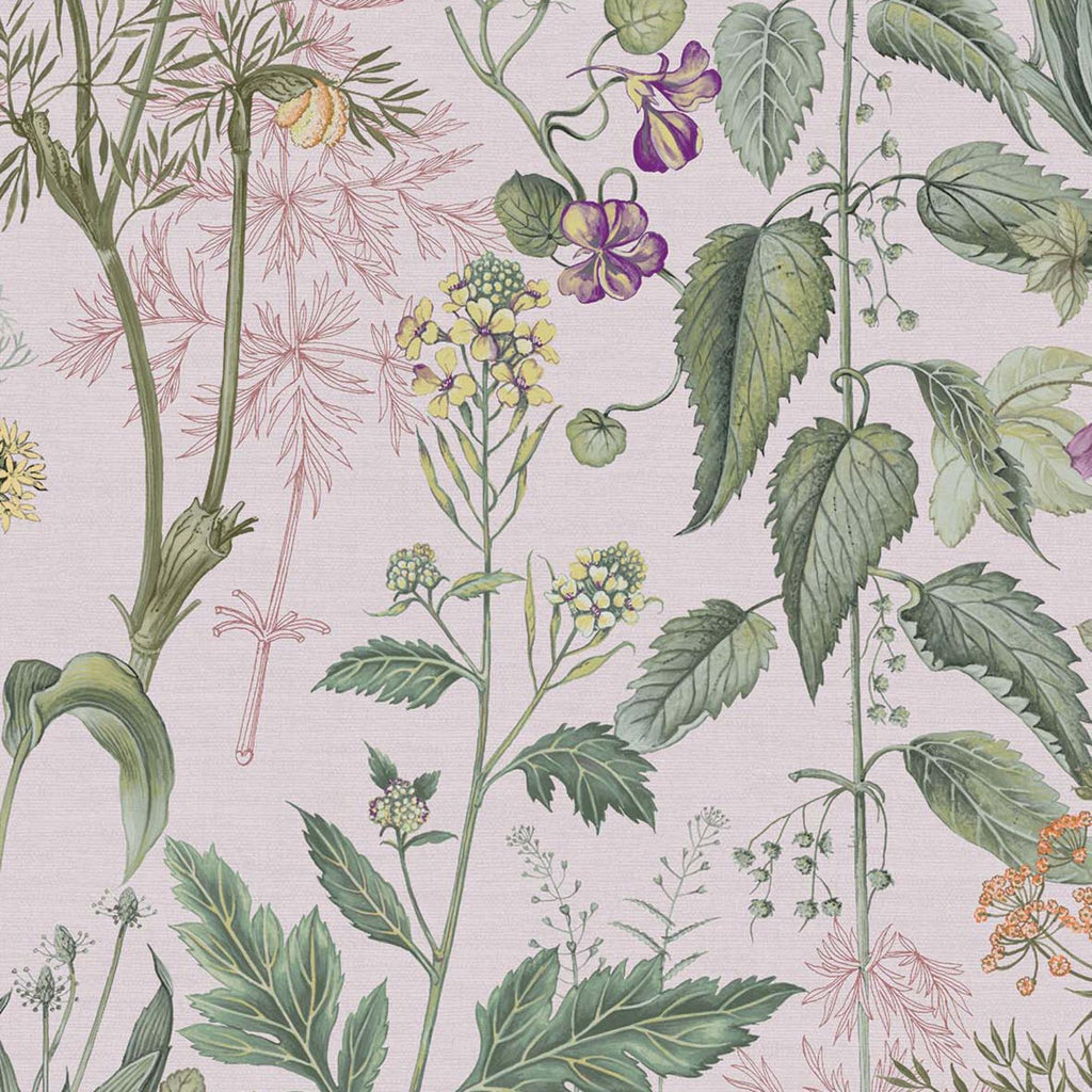 Edulis Blush Wallpaper
