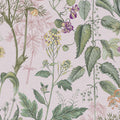 Edulis Blush Wallpaper