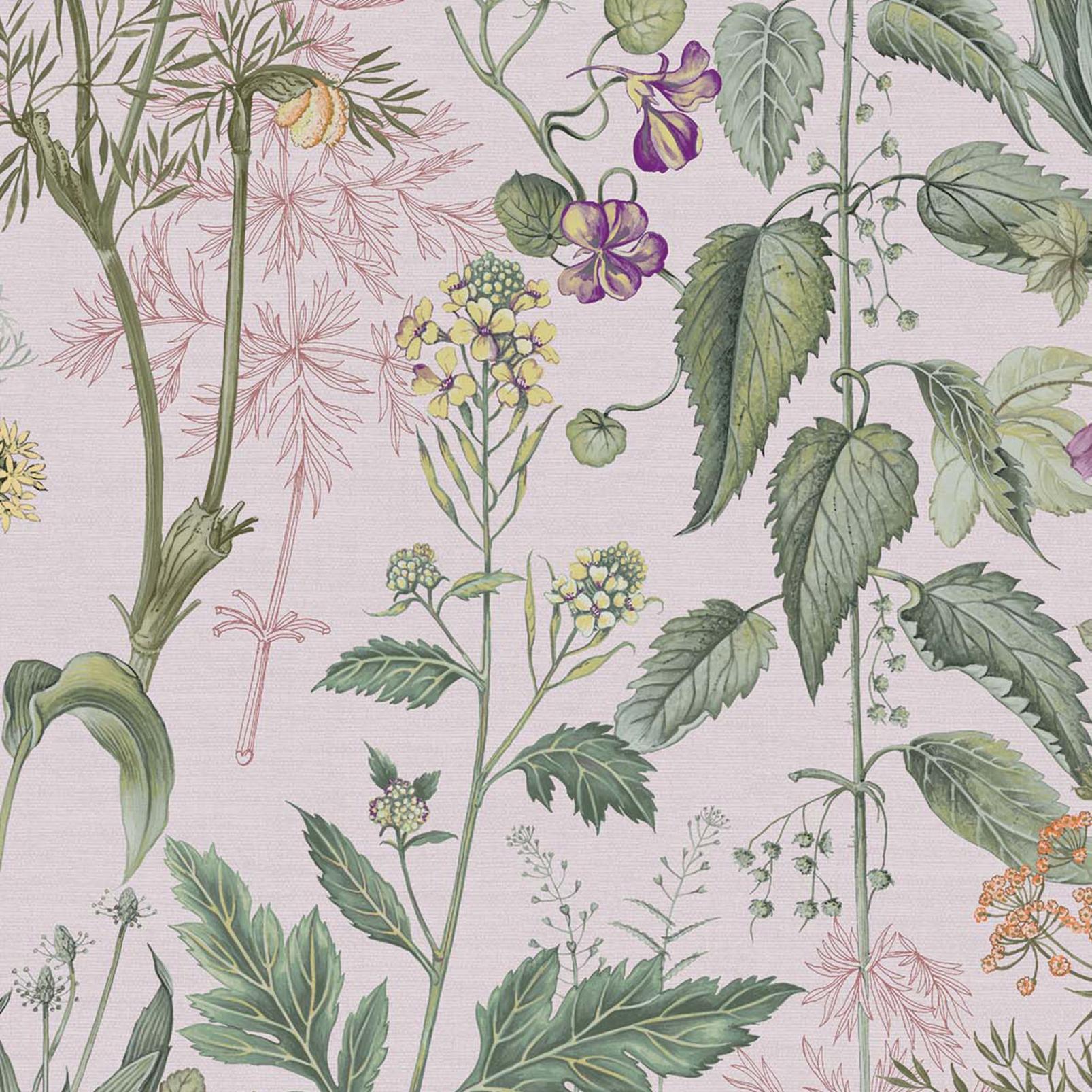 Edulis Blush Wallpaper
