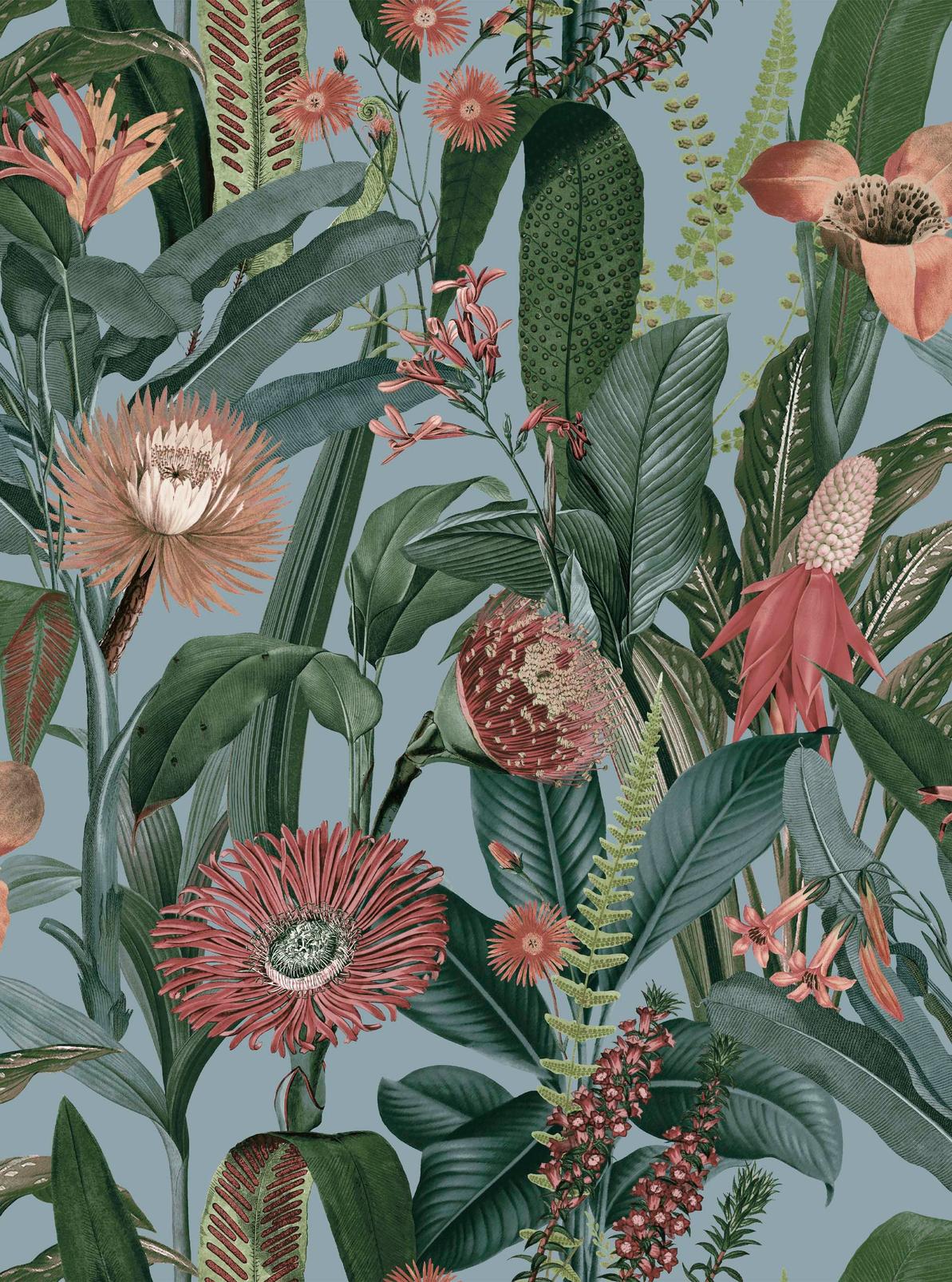 Tigerlily Sky Wallpaper