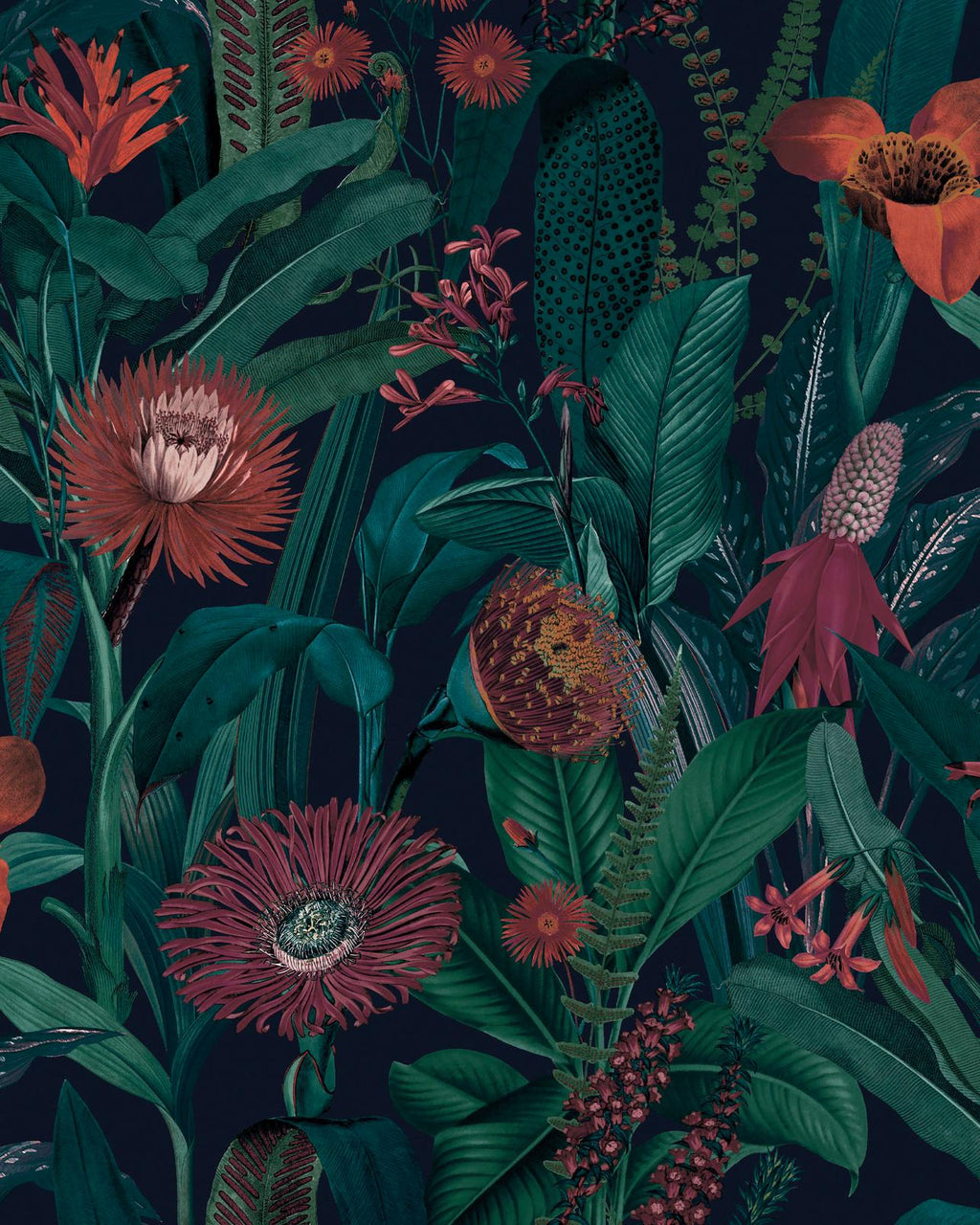 Tigerlily Midnight Wallpaper