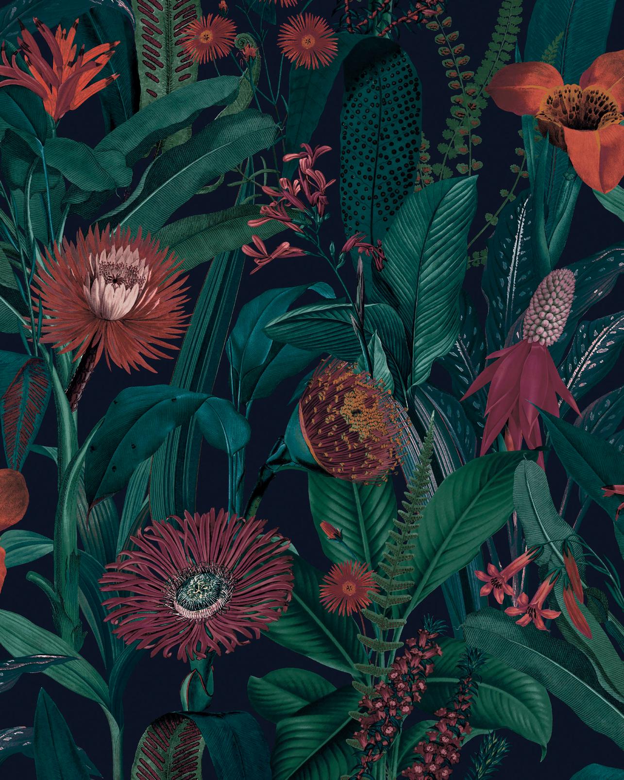 Tigerlily Midnight Wallpaper