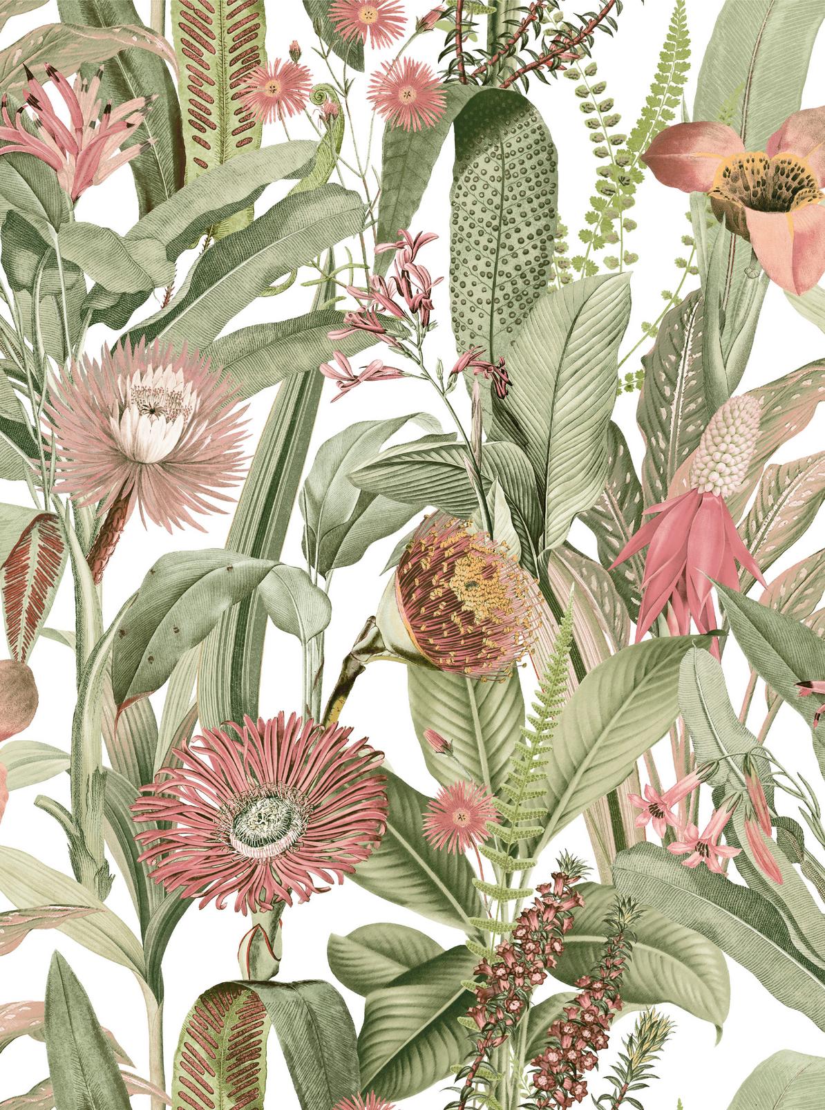 Tigerlily Lush Wallpaper