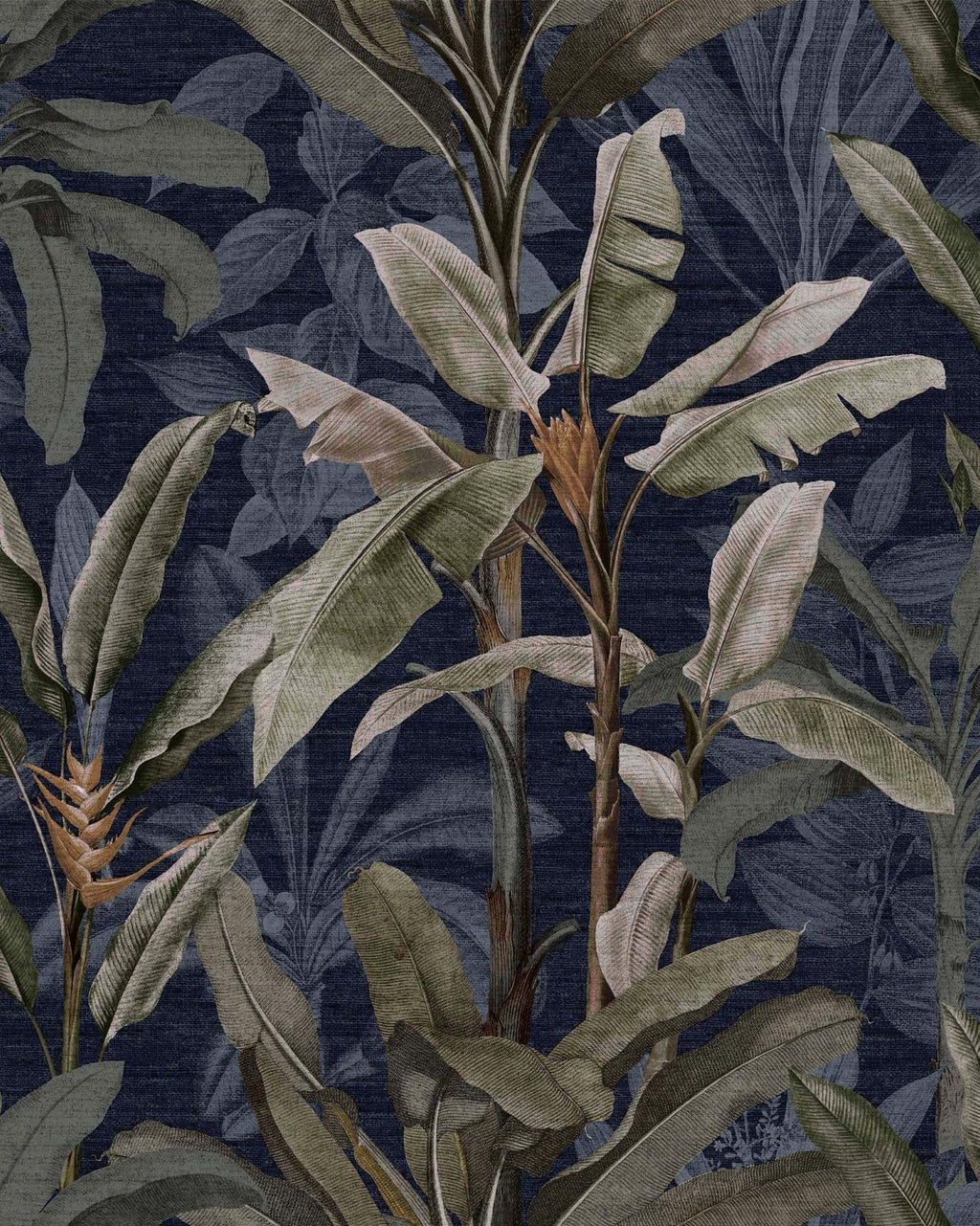 Borneo Midnight Wallpaper