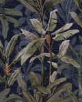 Borneo Midnight Wallpaper