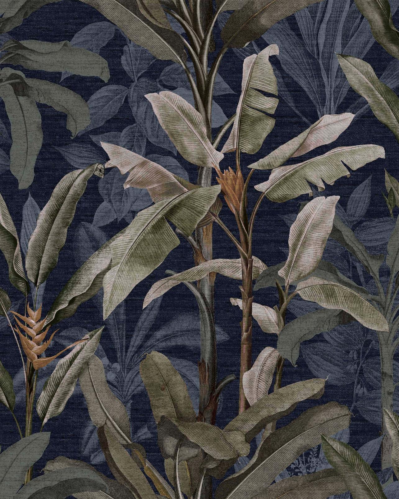 Borneo Midnight Wallpaper