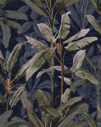 Borneo Midnight Wallpaper
