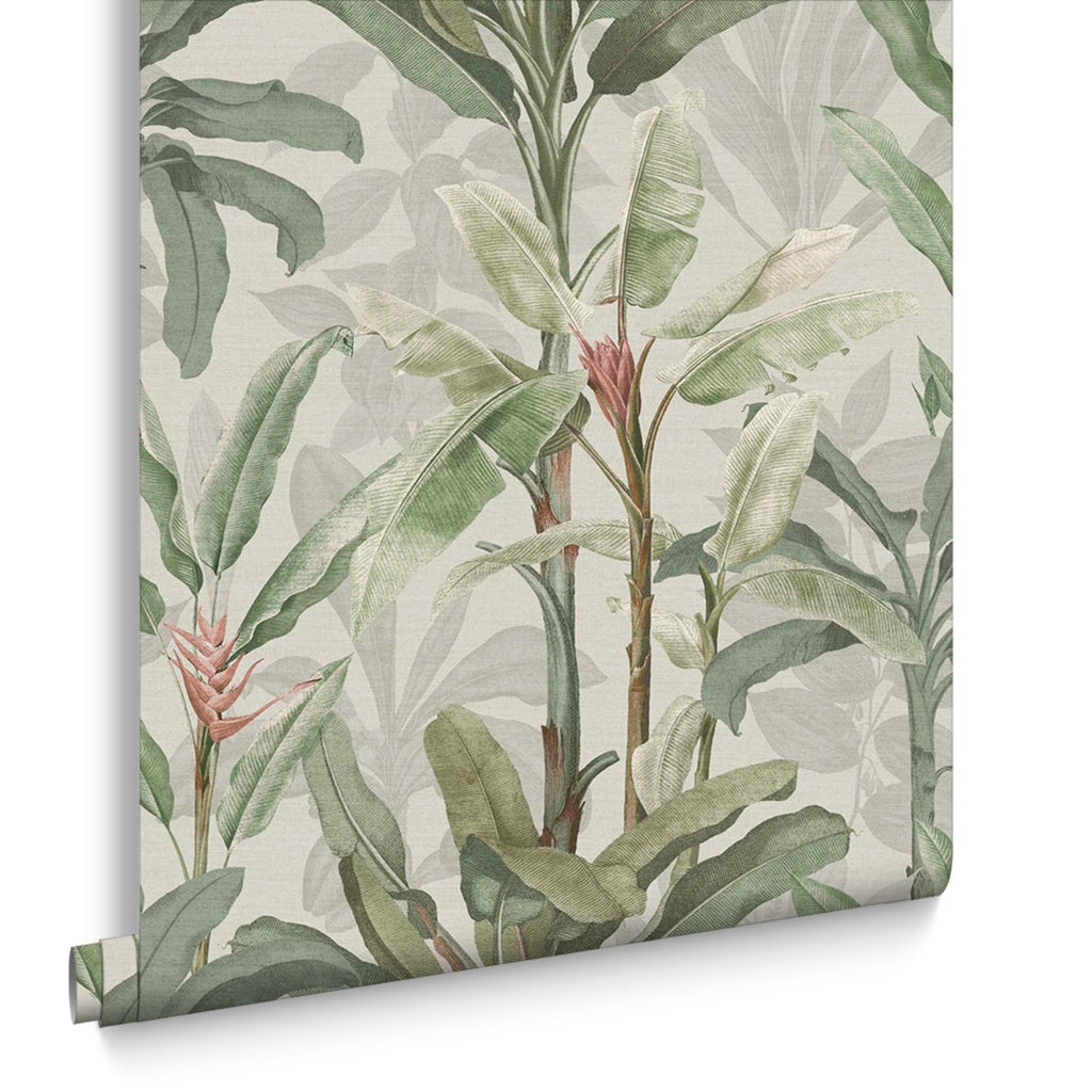 Borneo Powder Wallpaper