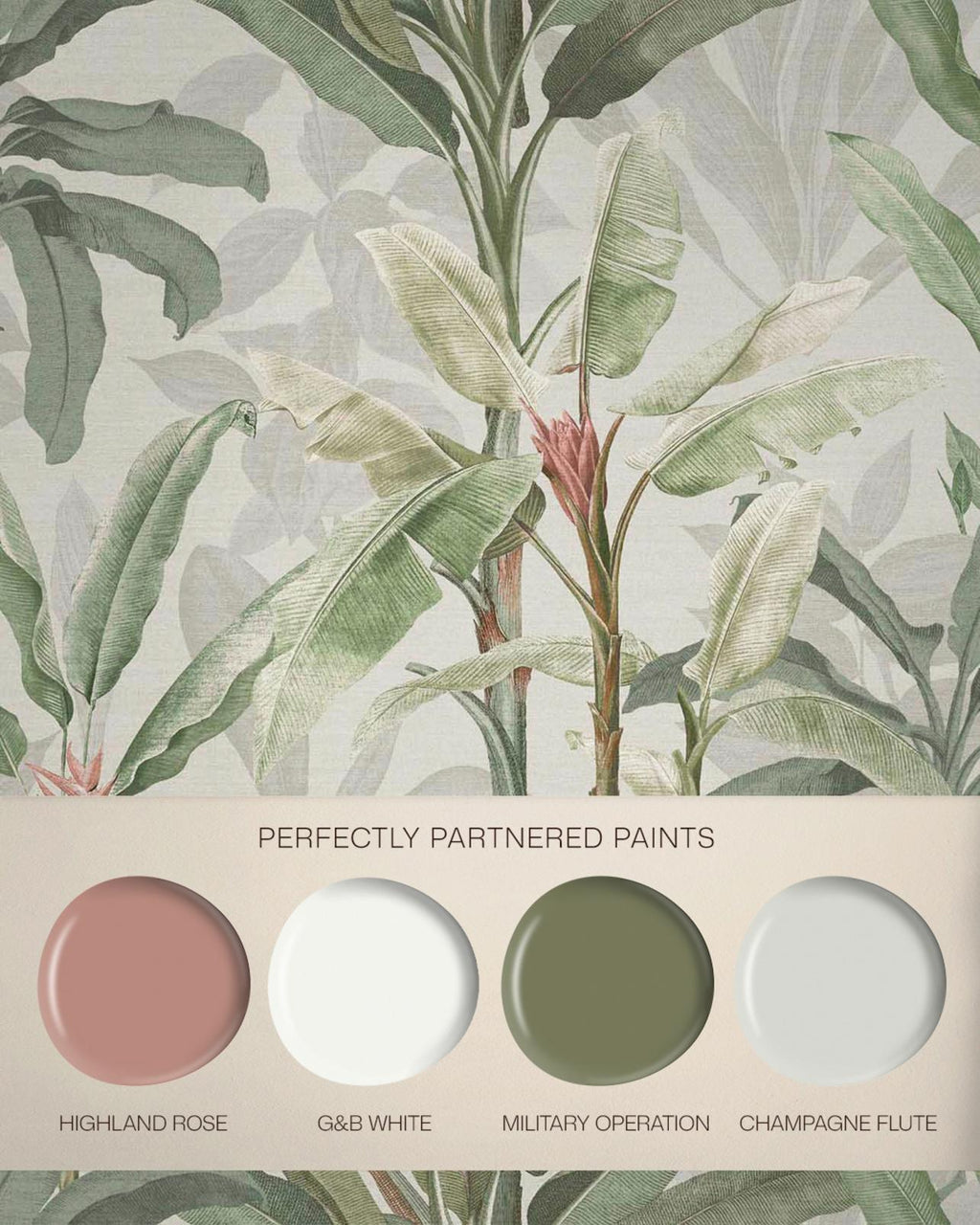 Borneo Powder Wallpaper