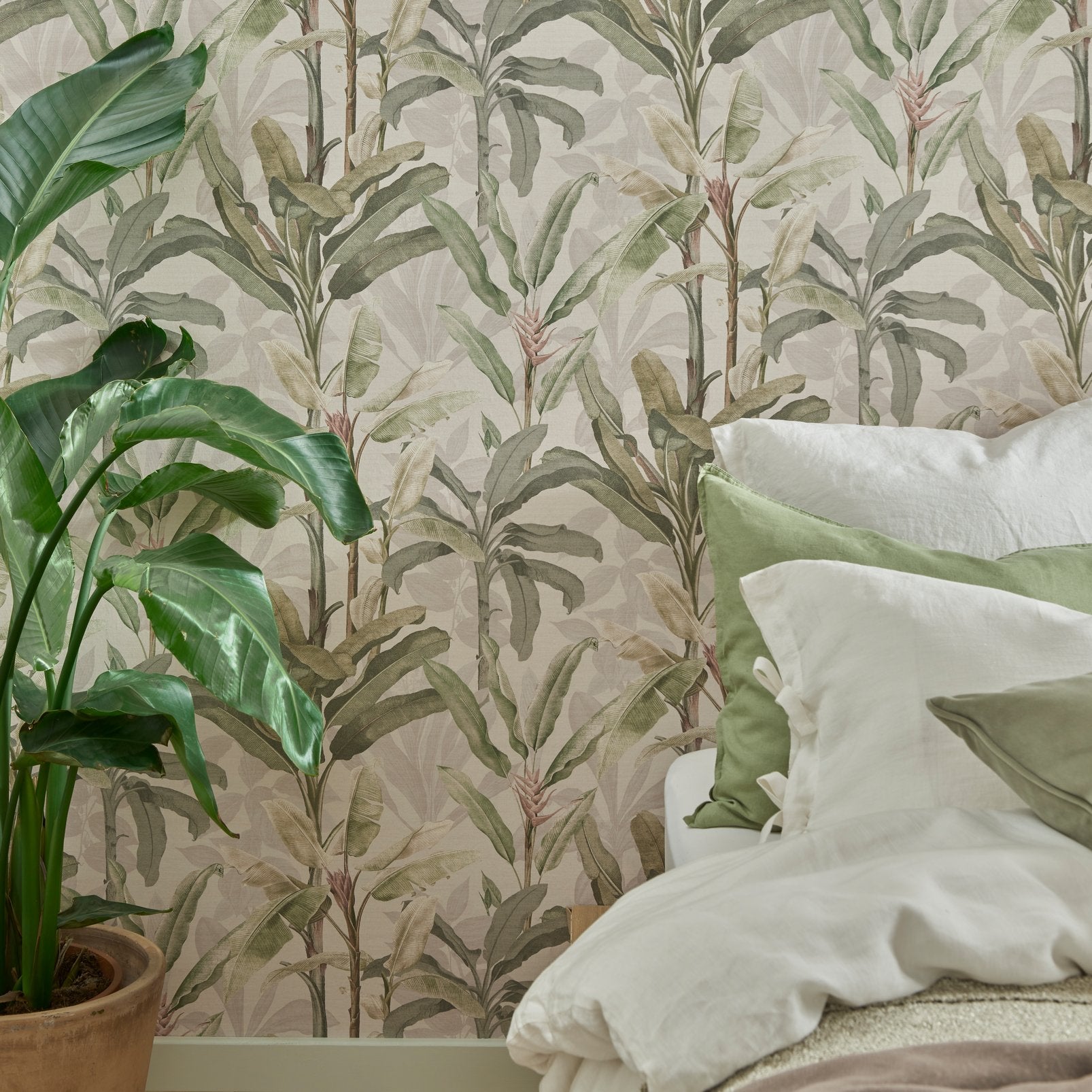 Borneo Powder Wallpaper