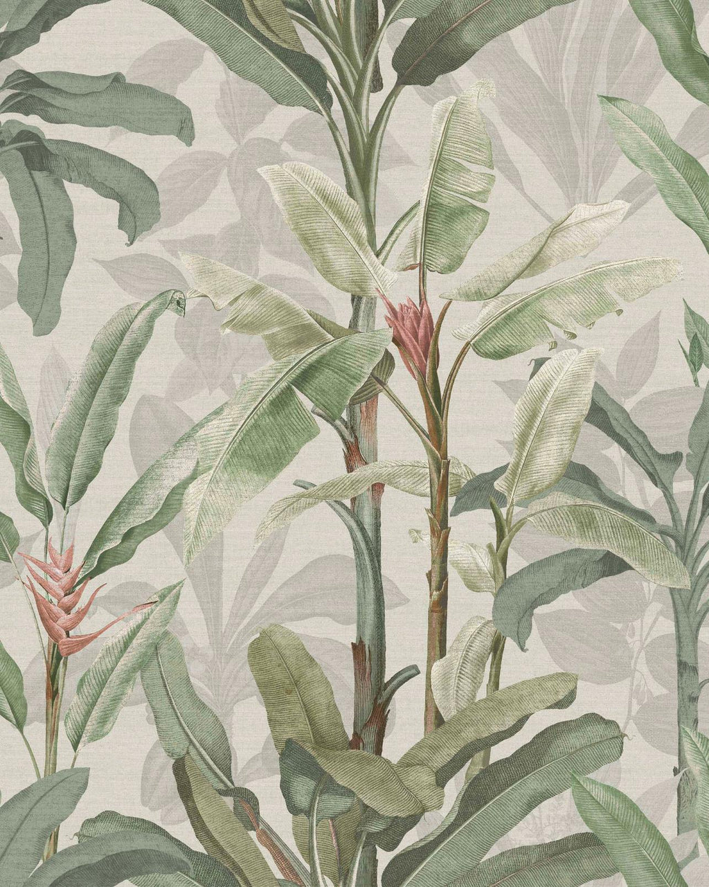 Borneo Powder Wallpaper