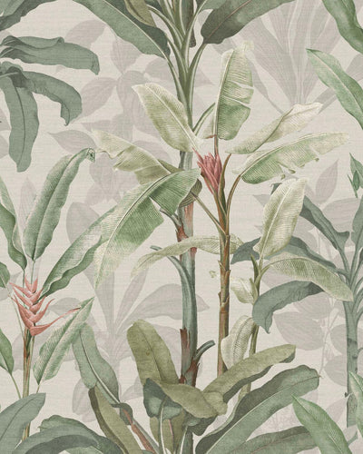 Borneo Powder Wallpaper