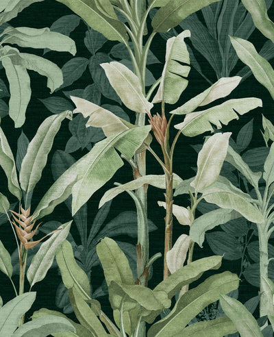 Borneo Emerald Wallpaper