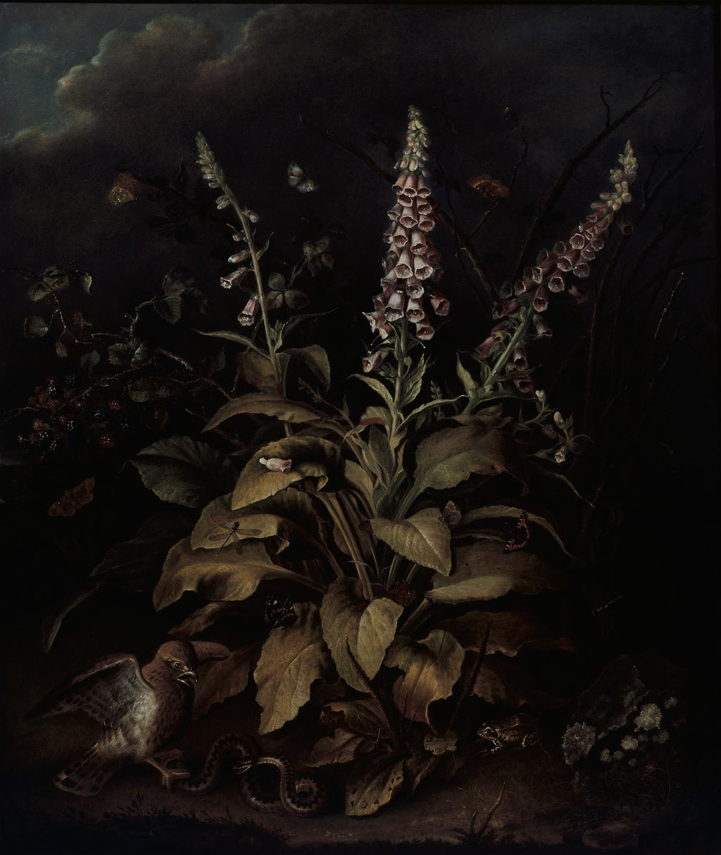 Weaver Foxglove and Brambles Bespoke Mural