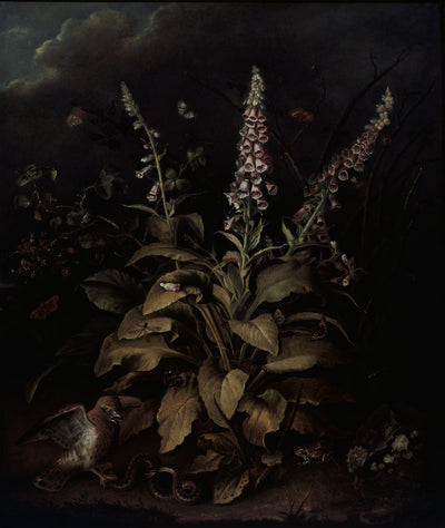 Weaver Foxglove and Brambles Bespoke Mural