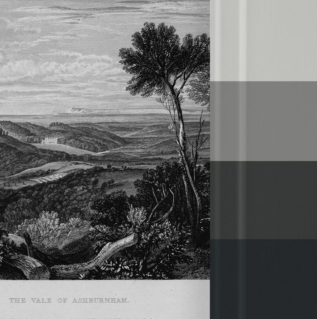 Turner The Vale of Ashburn Bespoke Mural