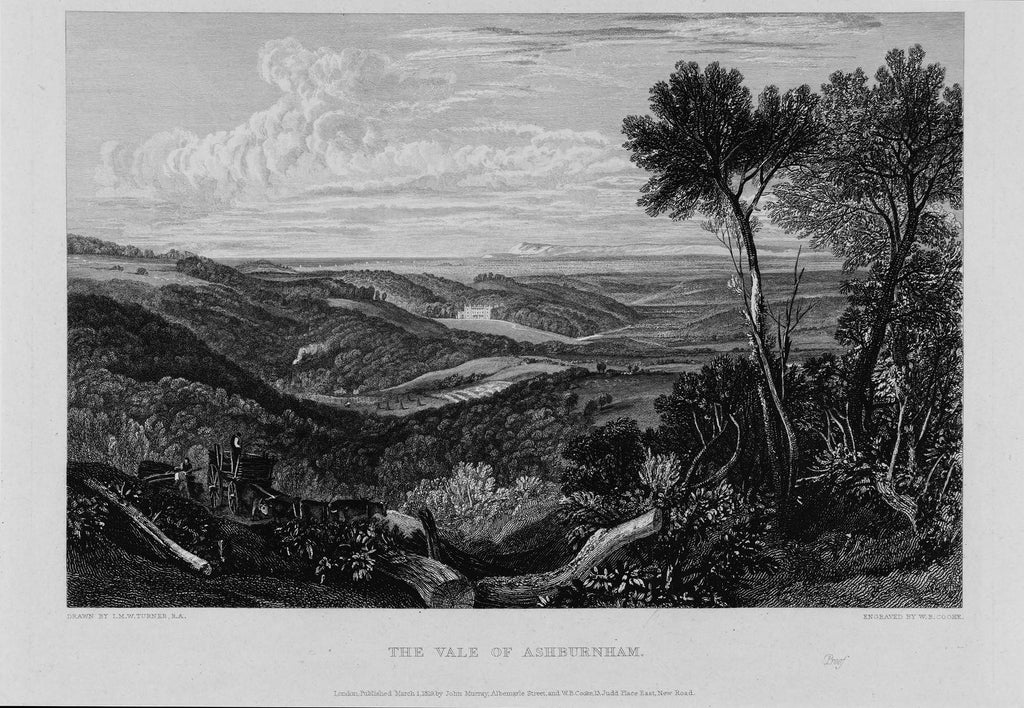 Turner The Vale of Ashburn Bespoke Mural