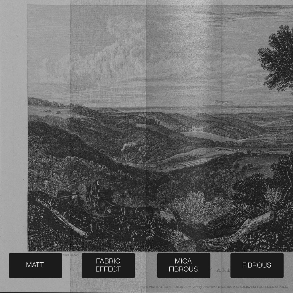 Turner The Vale of Ashburn Bespoke Mural