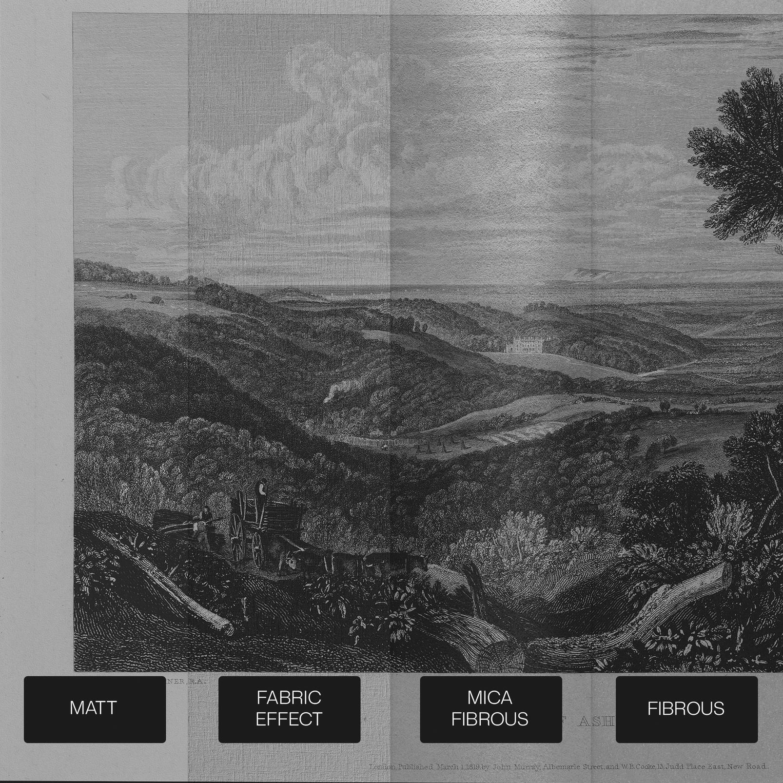 Turner The Vale of Ashburn Bespoke Mural