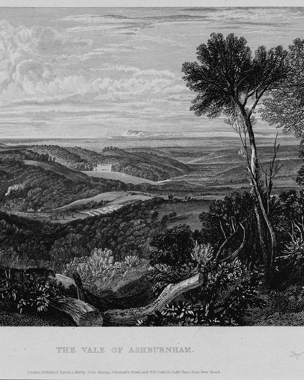 Turner The Vale of Ashburn Bespoke Mural